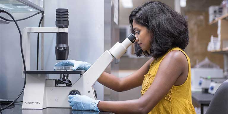 Student looking into a microscope